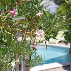 Bed & Breakfast Le Grand Cedre - 2 D'hotes - Sud Ardeche, Bourg-Saint-Andéol